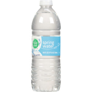 Food Club Spring Water 16.9 fl oz
